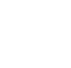 icon project